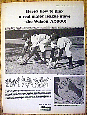 1965 Wilson A 2000 Baseball Glove With Ron Santo