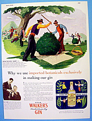 1946 Walker's Gin With Harvesters Spanking Bush