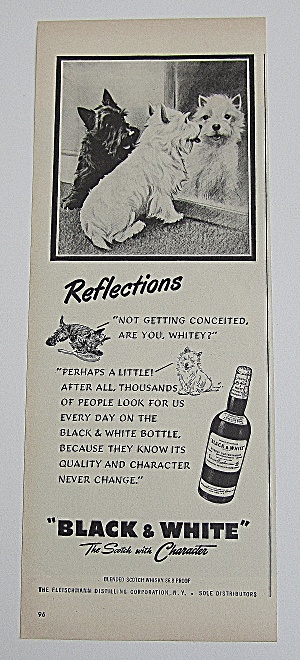 1950 Black & White Whiskey With Black & White Puppies