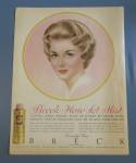 1960 Breck Hair Set Mist with Lovely Brown Haired Woman