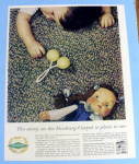 1959 Roxbury Carpet with Baby Laying