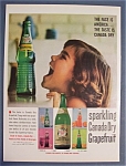Vintage Ad: 1961 Canada Dry Grapefruit Beverage