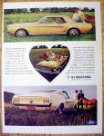 1966 Ford Mustang Ad with Hardtop & Convertible