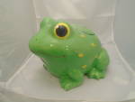 Sunny Patch Froggy Ceramic Cookie Jar