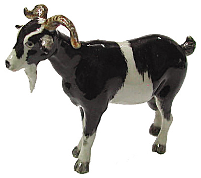 R135r Black And White Billy Goat