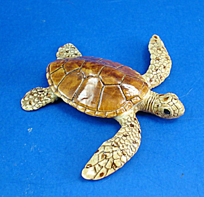 K9761 Loggerhead Sea Turtle