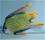 E2841f Tropical Fish