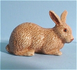 K0041b Brown Rabbit