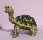 K5122 Small Tortoise