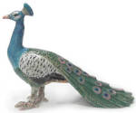 R079 Peacock