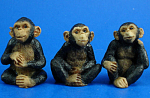 Miniature Chimpanzee Trio