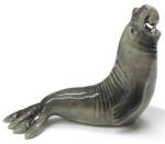 R336 Elephant Seal