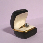 Arcadia Miniature Ring in Ring Box Salt Shaker