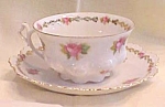 Teacup & Saucer Austria Moritz Zdekauer Ca 1900