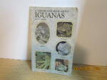 A Step-By-Step Book About Iguanas