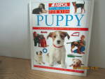 Pet Care Guide For Kids Caring For Your Puppy