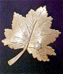 Sarah Coventry Leaf Pin With Pearl Accent
