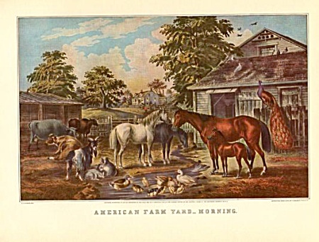 American Farm Yard- Morning