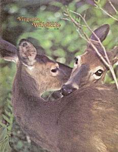 Virginia Wildlife - June 1981
