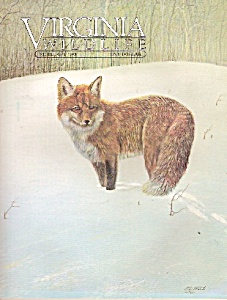 Virginia Wildlife -[ February 1984