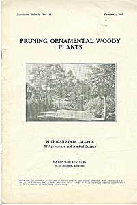 Pruning Ornamental Woody Plants - February 1931