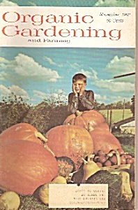 Organic Gardening -= November 1968