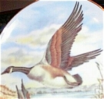 Canadian Geese Porcelain Transfer Plate