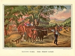 HAYING TIME-THE FIRST LOAD
