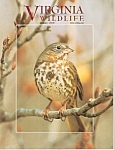 Virginia Wildlife -  March 1999