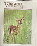 Virginia Wildlife - November 1995