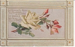 C.KLEIN~VINTAGE~ROSES~POST CARD~1910