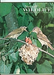 International wildlife - June-July 1977