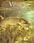 Virginia Wildlife - February 200-3