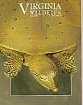 Virginia Wildlife - June 2000
