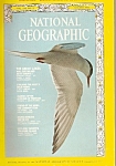National Geographic magazine- August 1973