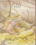 Virginia Wildlife -  April 1985