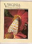 Virginia Wildlife -  August 1991