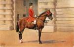 Tucks 1907 'Royal Outrider in Scarlet Livery' Postcard
