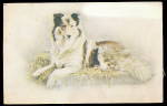 1907 Real Photo Collie Dog Postcard