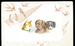 Puppies & Kitten w Birds 1911 Postcard