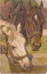 Two Horses - Brown & White Artist 1909 Postcard