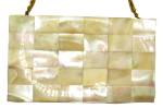Vintage Evans Mother of Pearl Compact Purse
