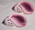 Pair (2) Vintage Sea Shell Shakers