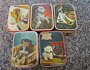 Vintage Toffee Tins W/dogs