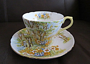Shelley Daffodil Time Teacup