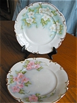 Two Hutschenreuther Bavarian Plates