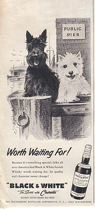 1957 Black & White Public Pier Scotty Dogs Ad