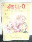 Vintage Jell-o Cookbook Rose O'Neill Illus.