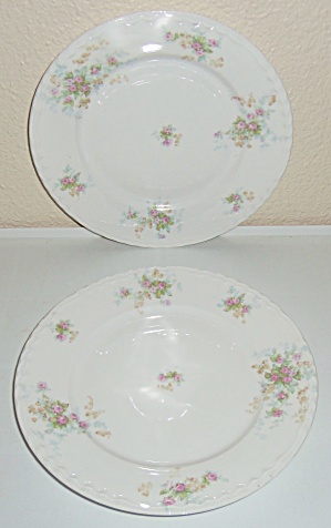Theodore Haviland China Pr Floral Decorated Plates