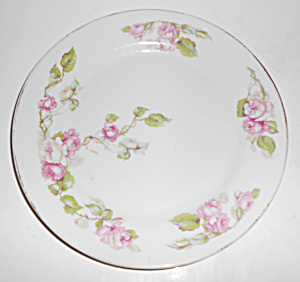 Z S & Co Bavaria Porcelain Pink Roses W/gold Salad Plt